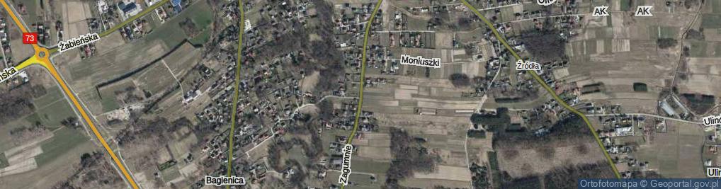 Zdjęcie satelitarne Zagumnie ul.